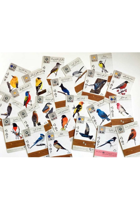 بازی wingspan ( وینگسپن ) فارسی