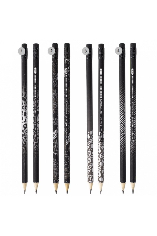 مداد مشکی پاک کن دار یالونگ