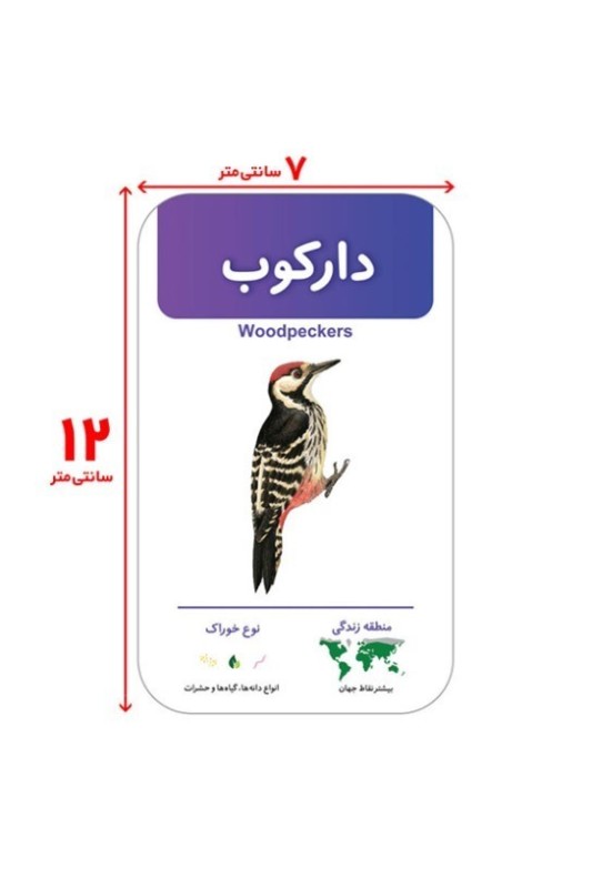 فلش کارت آشنایی با پرندگان