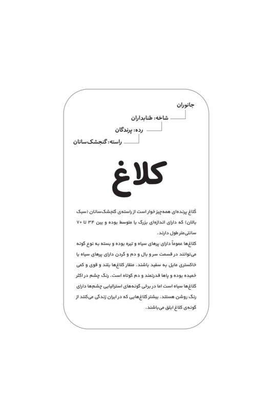 فلش کارت آشنایی با پرندگان