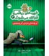 خوره‌های ریاضی کارآگاه می‌شوند 3 پرونده‌ی دزدی کریسمس