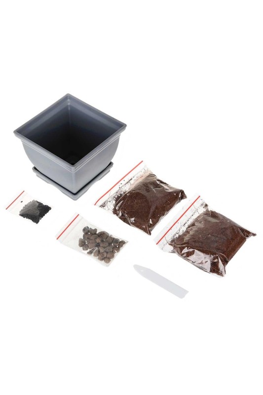 بسته آموزشی باغبانی کودک ترنج مدل گلدون کوچولو