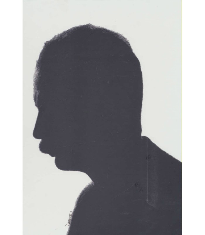 کتاب پیر پرنیان اندیش