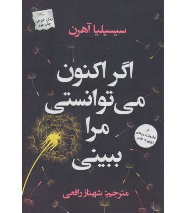 کتاب اگر اکنون می توانستی مرا ببینی
