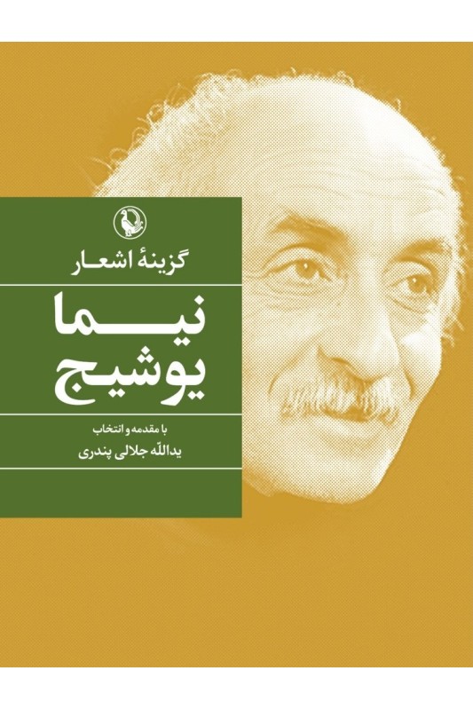 کتاب گزینه نیما یوشیج