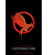 Catching fire
