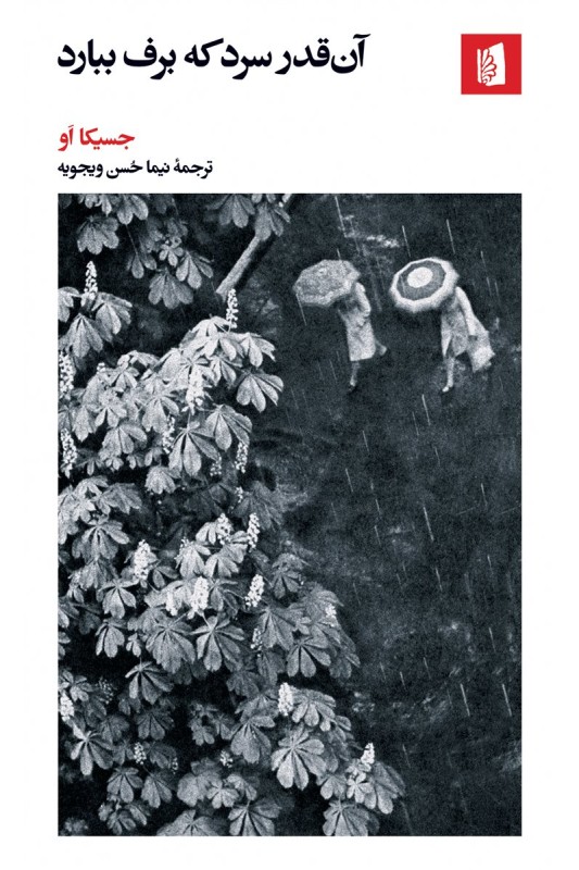 کتاب آن قدر سرد که برف ببارد