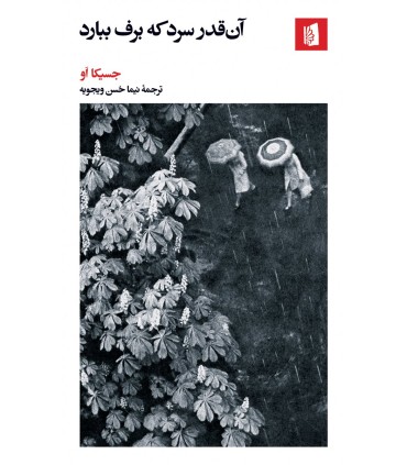 کتاب آن قدر سرد که برف ببارد